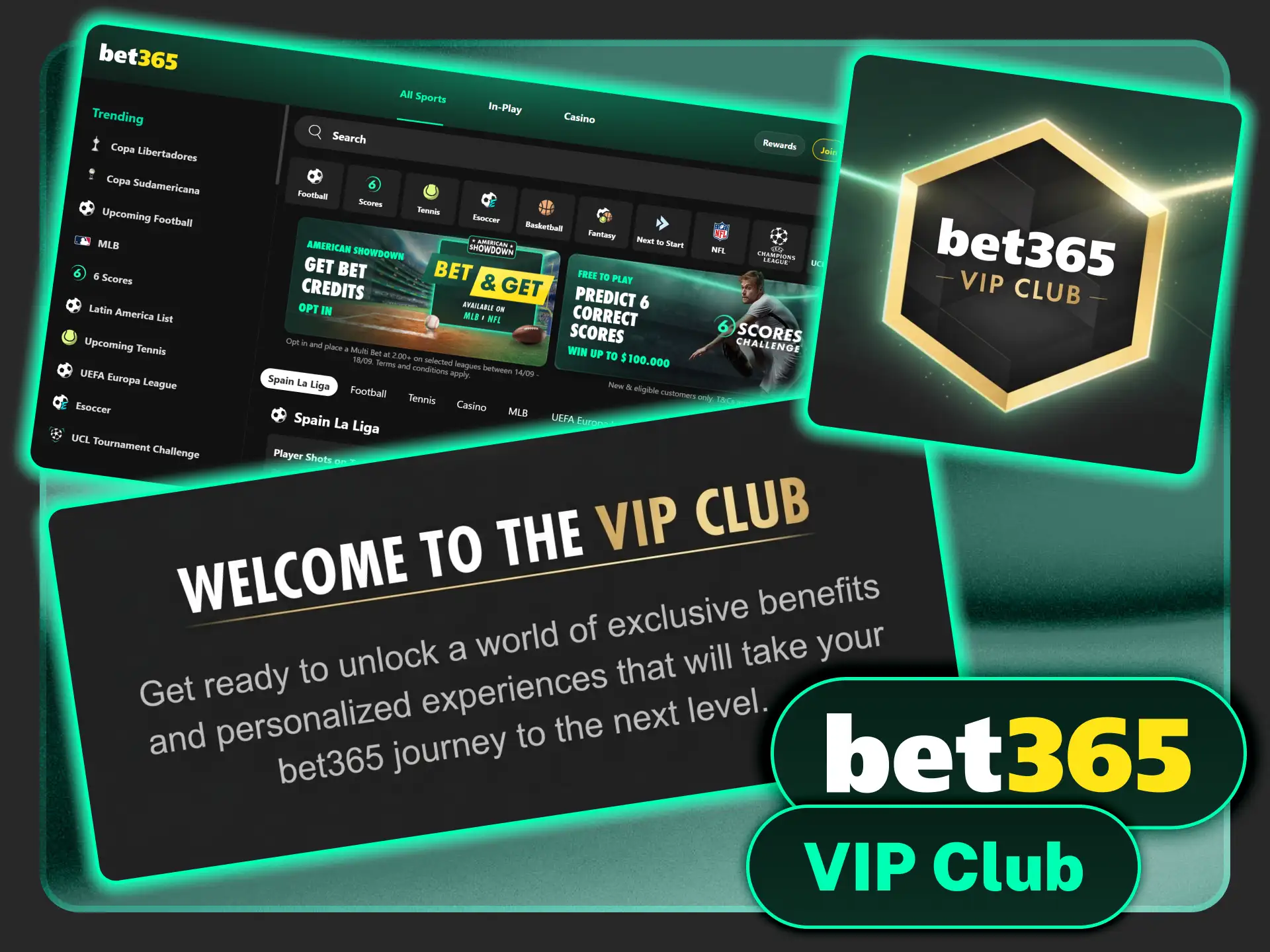 Join the exclusive VIP loyalty rewards club on Bet365 platform.